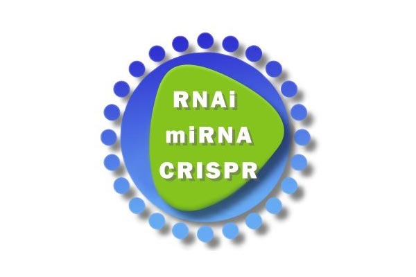 AAV載體實驗前期測試以及血清型測試 (C6 RNA技術平台與基因操控核心設施)