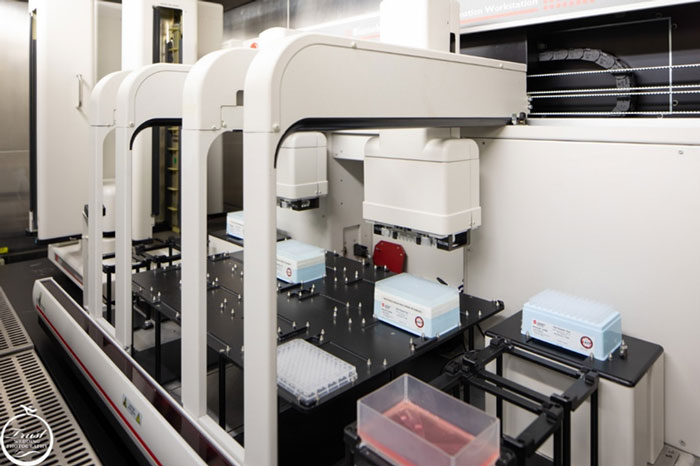 血清/抗體中和試驗平台，協助產業界進行新冠疫苗開發工作 (服務平台：C6 RNA技術平台與基因操控核心設施)