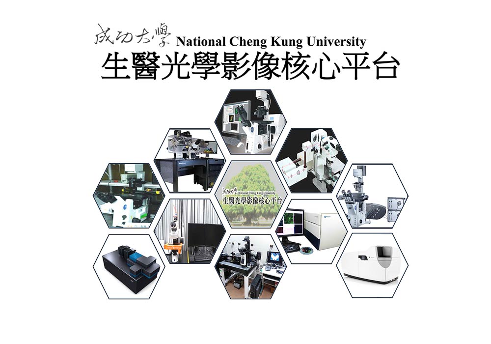 Core Facilities - Bioimage Core Facility（NCKU. Prof. Wen-Tai Chiu）