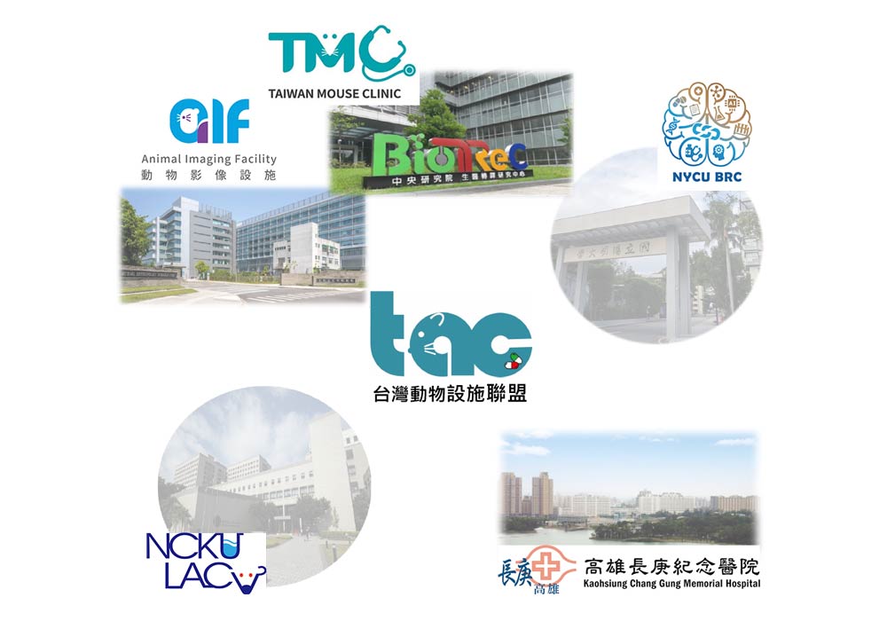 Core Facilities - Taiwan Mouse Clinic and Animal Consortium-National Comprehensive Mouse Phenotyping and Drug Testing Center（Chen, Chih-Cheng Research Fellow）