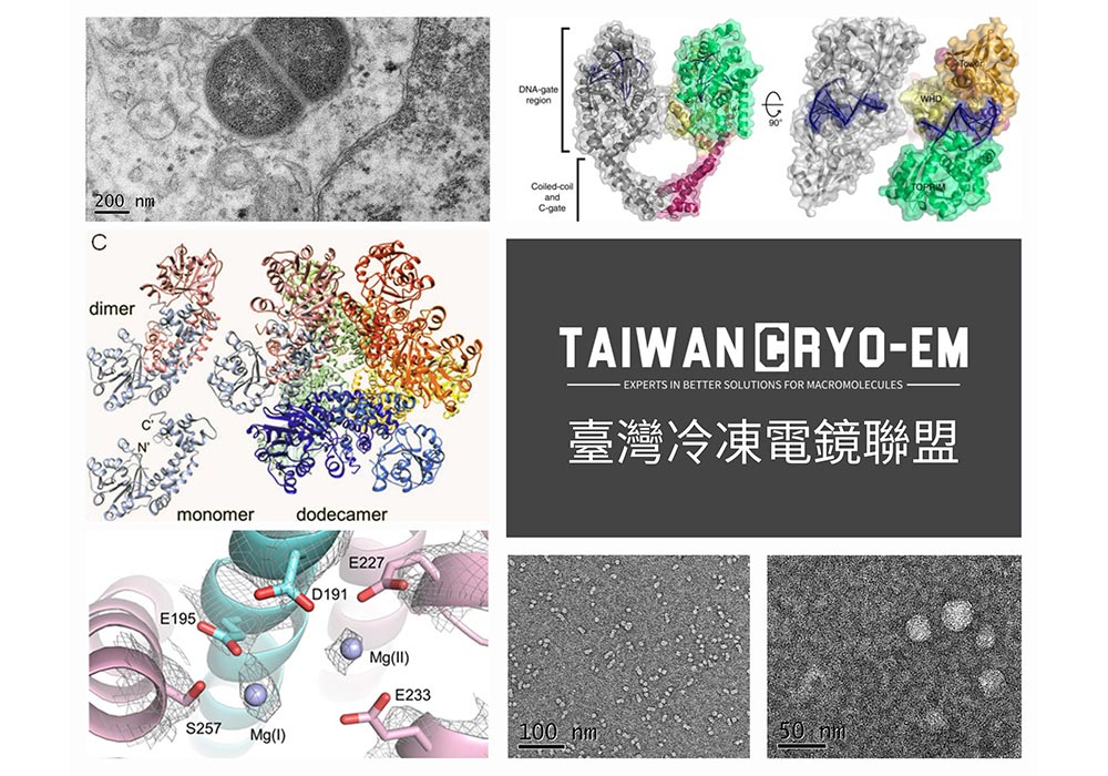 Core Facilities - Taiwan Cryo-EM Consortium ( Assoc. Prof. Shang-Rung Wu )