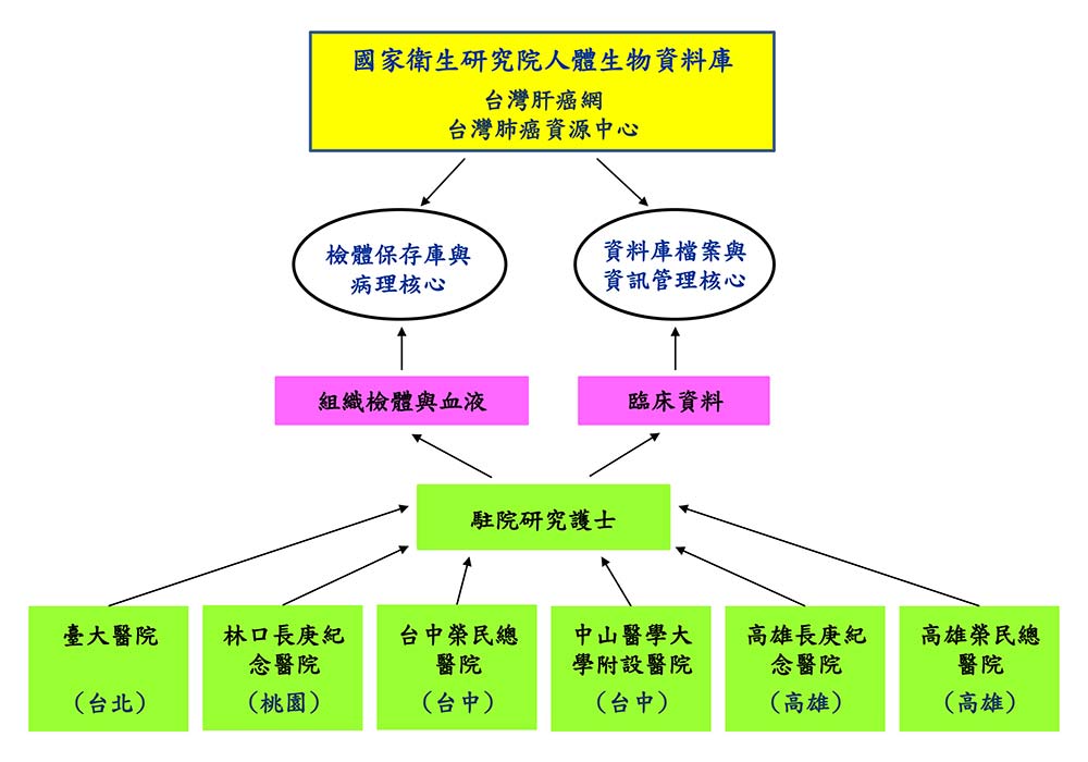 Core Facilities - The establishment of a clinico-pathological network and databaseon hepatocellular carcinoma in Taiwan and Taiwan lung cancer tissue/specimen and information resource center（Shiu-Feng Huang）