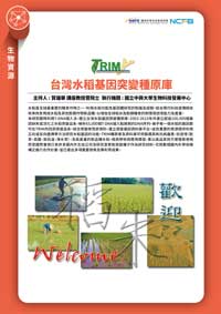 生技醫藥核心設施平台-台灣水稻突變種原庫及基因資料庫之管理與加值利用